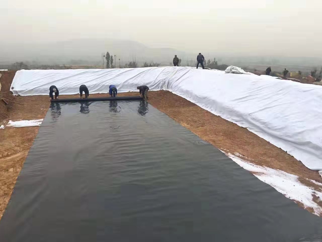  為何通常推薦養(yǎng)殖大戶(hù)應(yīng)用黑色的土工膜？